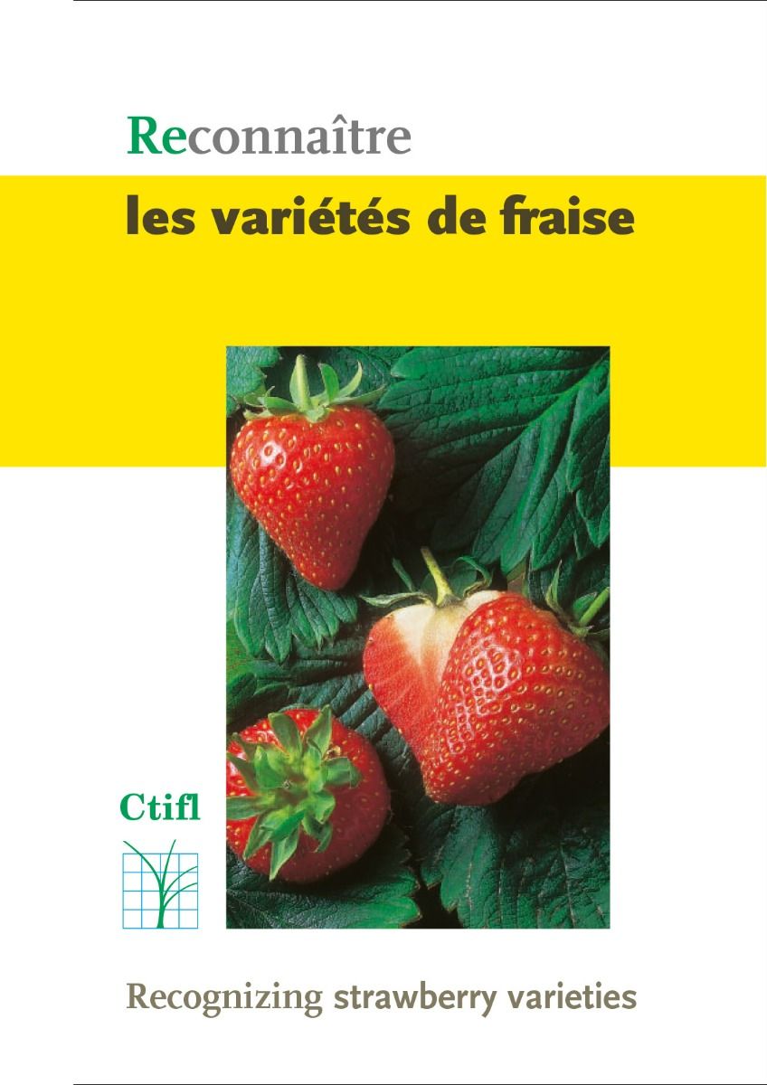 Les variétés de fraises : types, sortes, espèces, propriétés