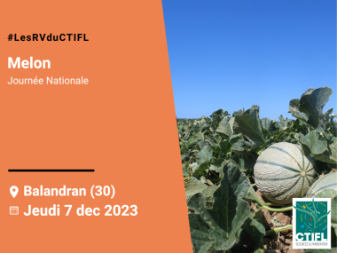 Journée Nationale Melon 2023