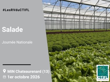 Journée Nationale salade
