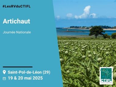 Journée Nationale Artichaut