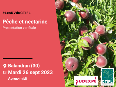 Présentation variétale pêche et nectarine