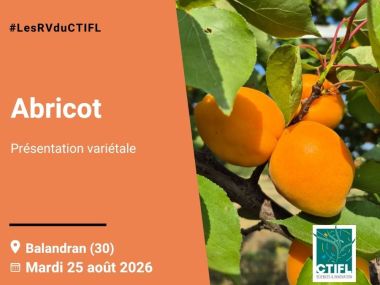 Présentation Variétale Abricot 2026
