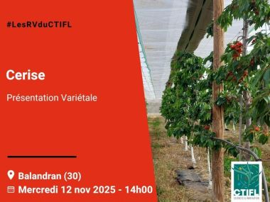 Présentation Variétale cerise - 2025