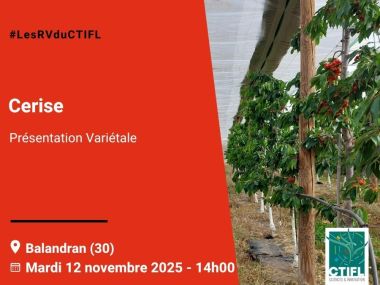 Présentation Variétale cerise - 2025
