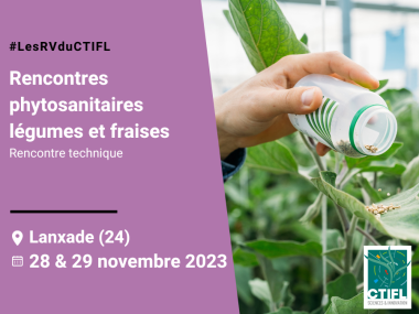 Rencontres phytosanitaires légumes et fraises