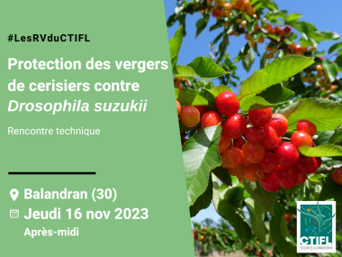 Rencontre technique protection des vergers de cerisiers contre Drosophila suzukii
