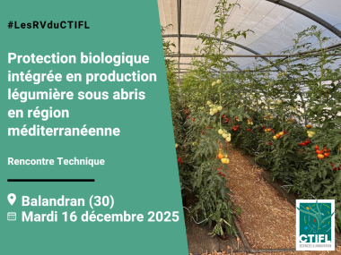 Rencontre Technique : Protection biologique en production légumière sous abris en région méditerranéenne