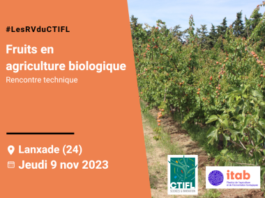 Rencontre technique fruits en agriculture biologique
