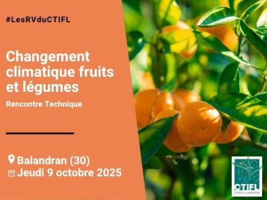 Changement climatique fruits et légumes