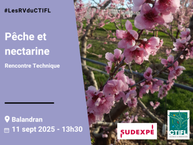 Rencontre Technique pêche et nectarine