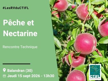 Rencontre Technique Pêche et Nectarine - 2026
