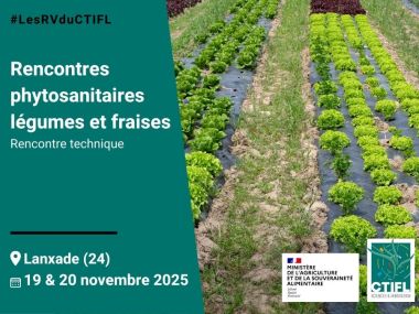 Rencontres phytosanitaires légumes et fraises - 2025