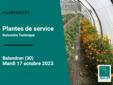 Rencontre Technique Plantes de service