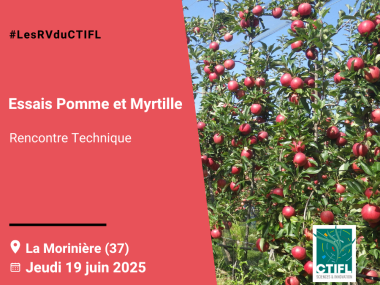 Rencontre Technique : Essais pomme et myrtille