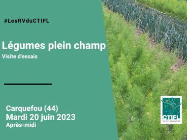 Visite d'essais légumes plein champ