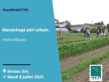Visite d'Essais maraîchage péri-urbain - 2025