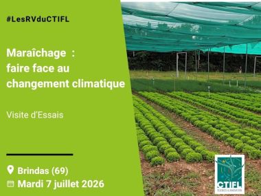 Visite d'Essais maraîchage : faire face au changement climatique