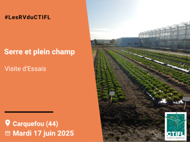 Visite d'Essais Serre et plein champ