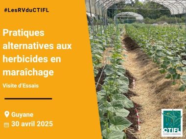 Visite d'Essais - Pratiques alternatives aux herbicides en maraîchage en Guyane