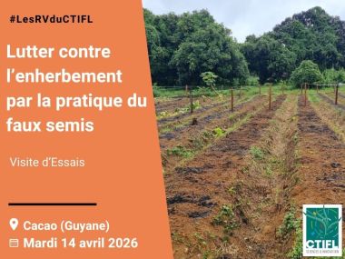 Visite d'Essais - Lutter contre l’enherbement par la pratique du faux semis 