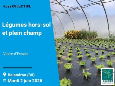 Visite d'Essais légumes hors-sol et sol - 2026