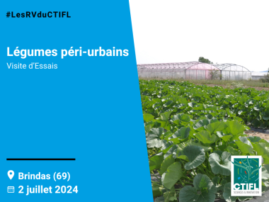 Visite d'Essais légumes péri-urbains - 2024