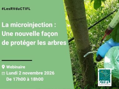 Webinaire - La microinjection : Une nouvelle façon de protéger les arbres