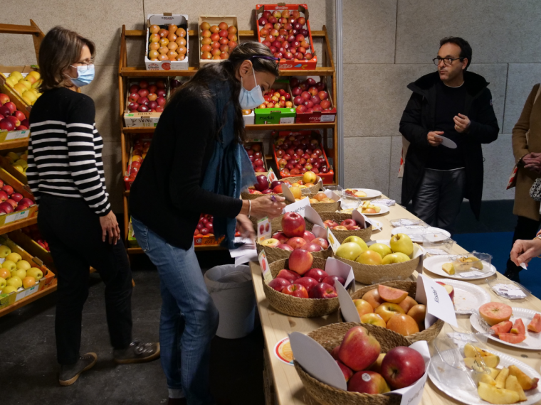Animer des ateliers autour des fruits et légumes frais