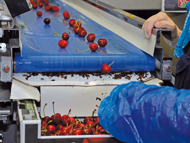 Hygiène et sécurité des aliments (module 2) : L'HACCP dans les entreprises de fruits et légumes