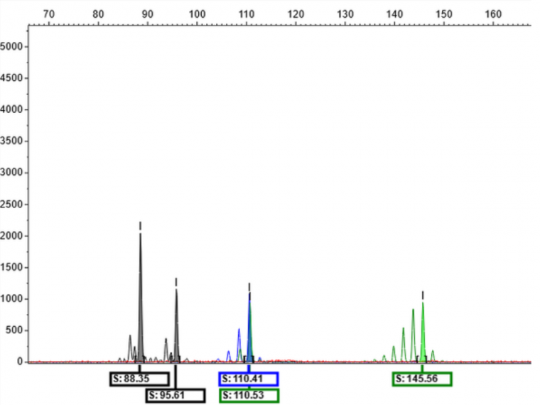 Authentification variétale des espèces fruitières par analyse moléculaire 