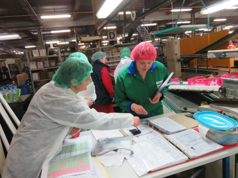 Aide à la mise en place d'une démarche HACCP