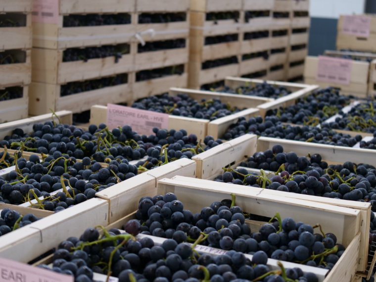 Stockage des fruits à pépins et maintien de la qualité
