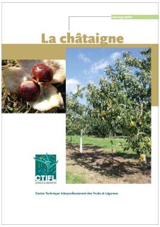 La châtaigne