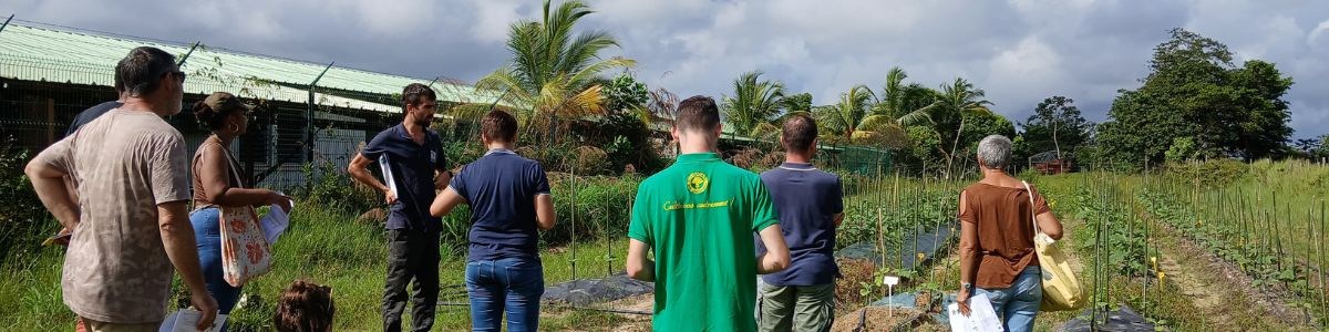 Actu_bandeau_post_event_VE_Guyane.jpg