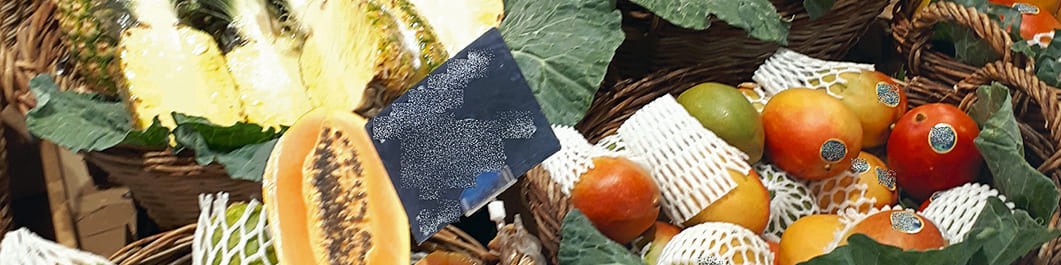 BandeauDFL396_Art1_PAE_Eu.jpg