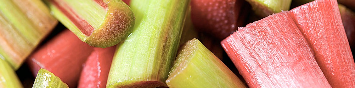 Bandeau_DFL404_Rhubarbe.jpg