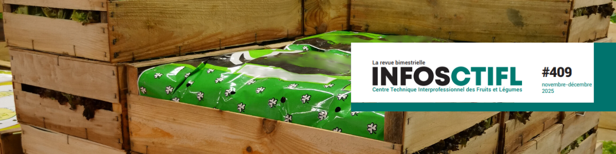 Bandeau_infosCTIFL409.png