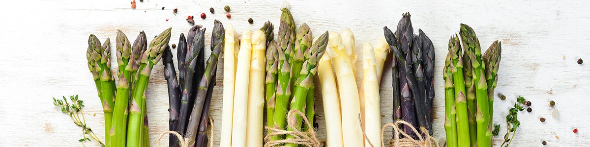CTIFL--Visuel-bandeau-Asperge.jpg