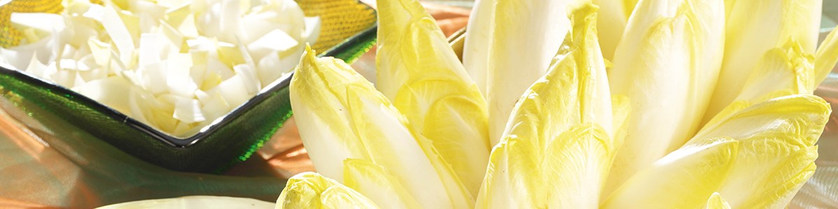 CTIFL--Visuel-bandeau-Endive.jpg