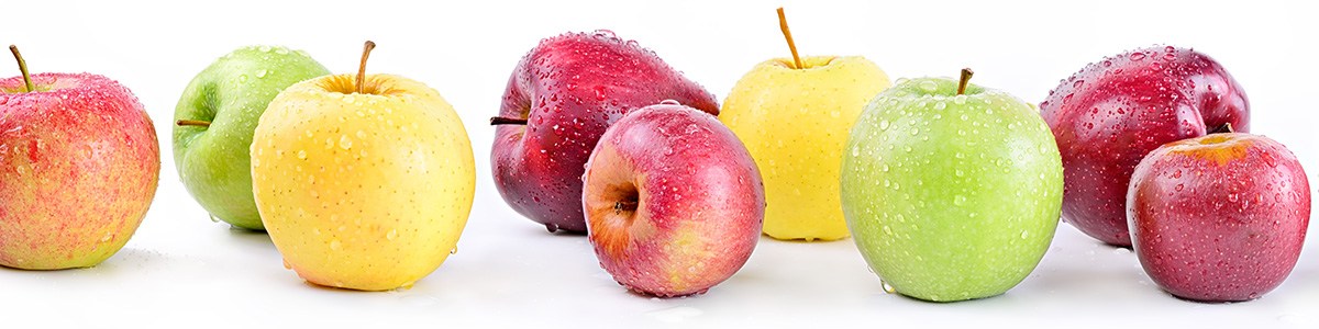 CTIFL_Visuel_bandeau-Conservation_pomme.jpg