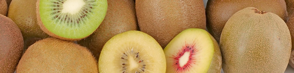 Monographie_kiwi_-_actu_bandeau.jpg