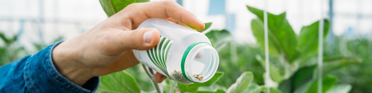 Rencontres_phytosanitaires_l_gumes_et_fraise_-_Bandeau_Magento.png