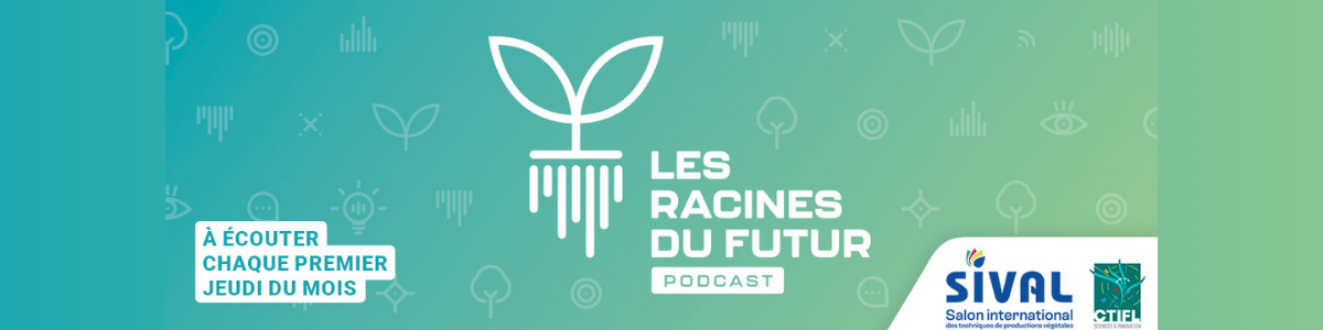 Teasing_Les_Racines_du_Futur.png