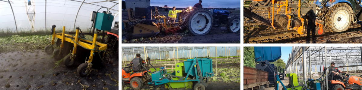 Elaborer des solutions de paillages biodégradables en cultures