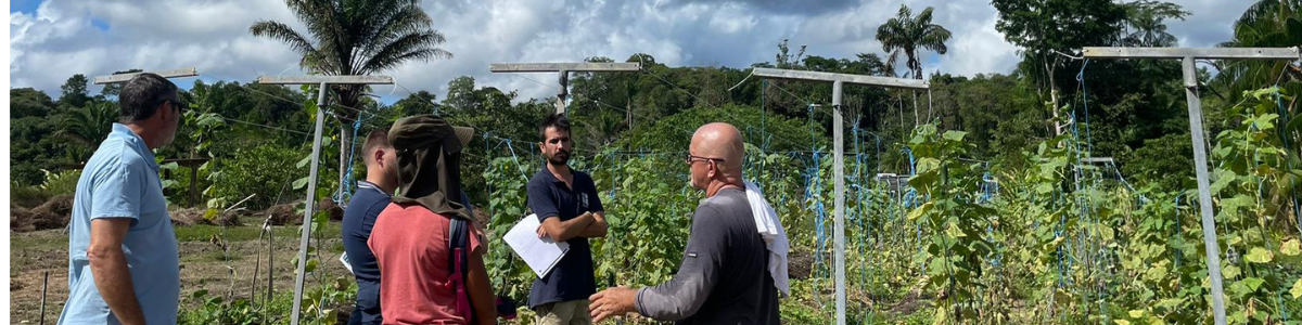 bandeau_actu_retour_en_images_-_VE_Guyane.png