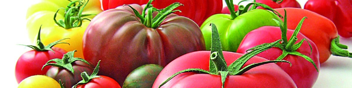 La segmentation des tomates, quelles nouveautés ? La segmentation des tomates, quelles nouveautés ?
