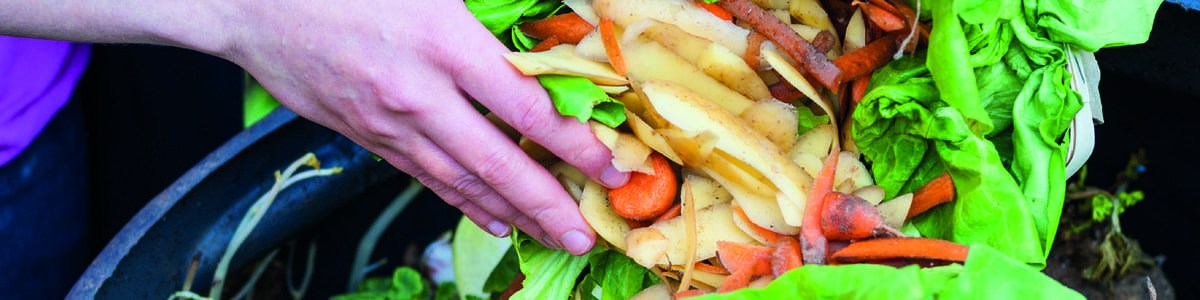 Garantir la qualité des fruits et légumes frais - Radiographie des pertes après la récolte Garantir la qualité des fruits et légumes frais - Radiographie des pertes après la récolte