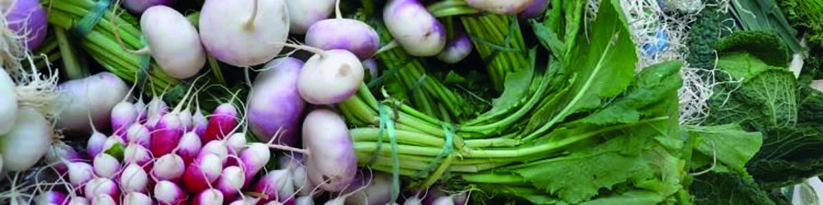 Les légumes primeurs - Défilé de bottes
