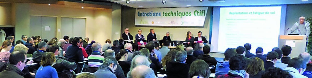 Entretiens techniques fruits CTIFL/Sival 2017 - Fatigue de sol et replantation en vergers de pommiers Entretiens techniques fruits CTIFL/Sival 2017 - Fatigue de sol et replantation en vergers de pommiers