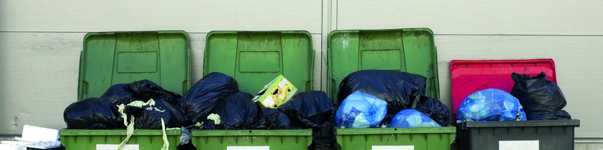 Le gaspillage des fruits et légumes dans la distribution - Comment valoriser les invendus ? Le gaspillage des fruits et légumes dans la distribution - Comment valoriser les invendus ?